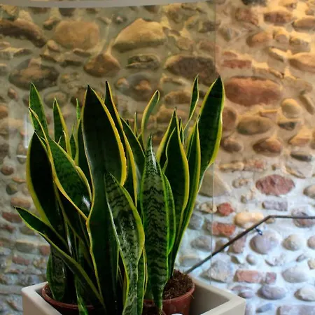 Il Balcone Sul Mincio Gæstehus
